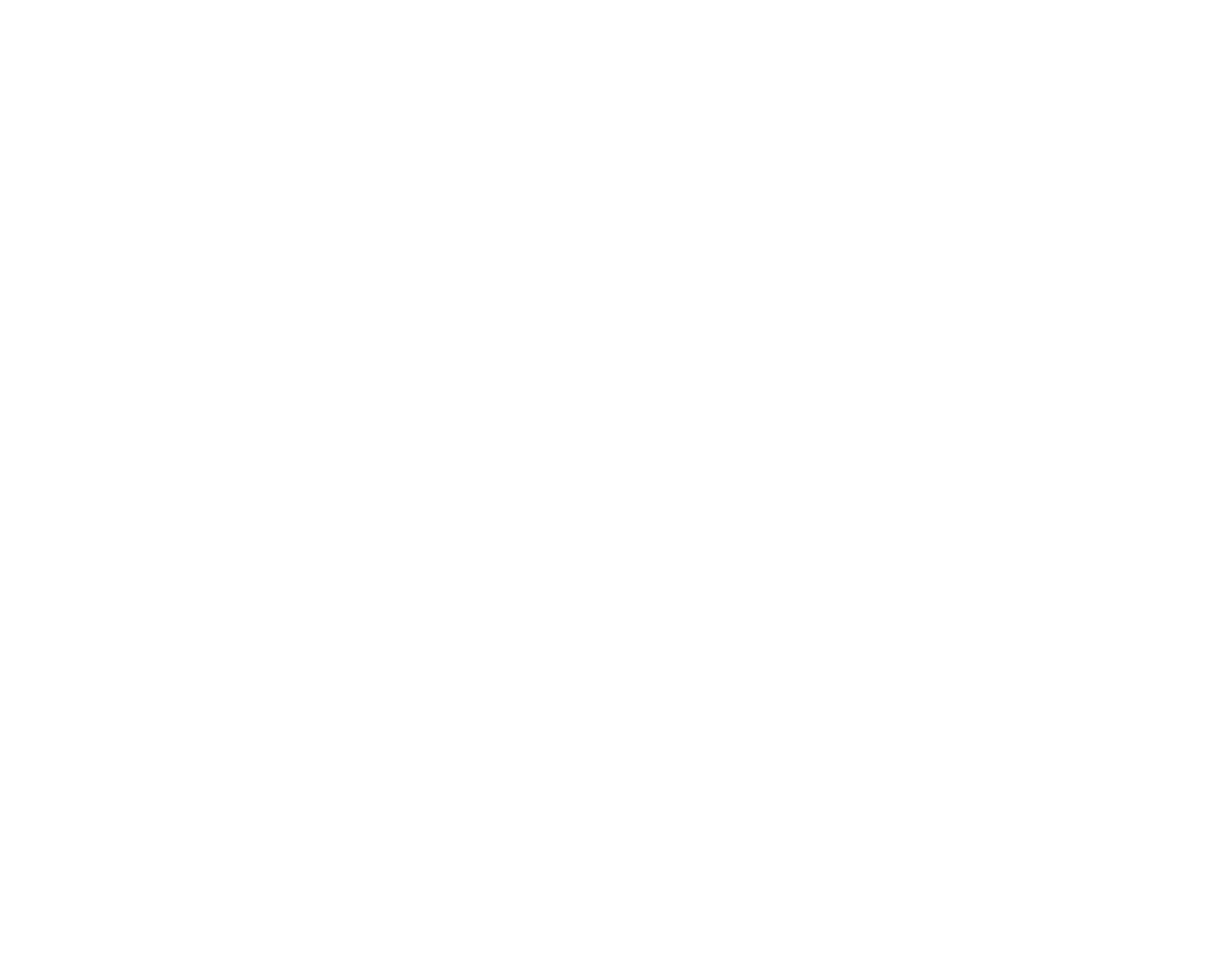RaizCar