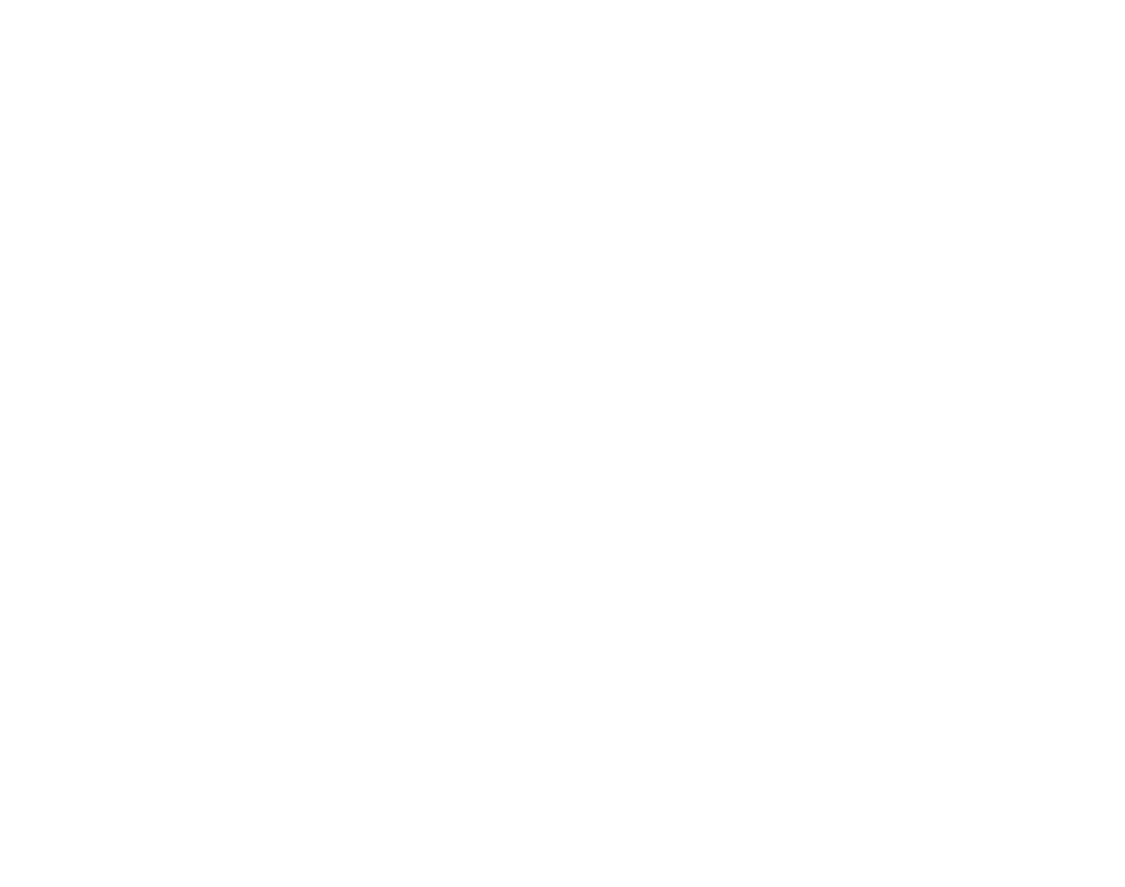 RaizCar